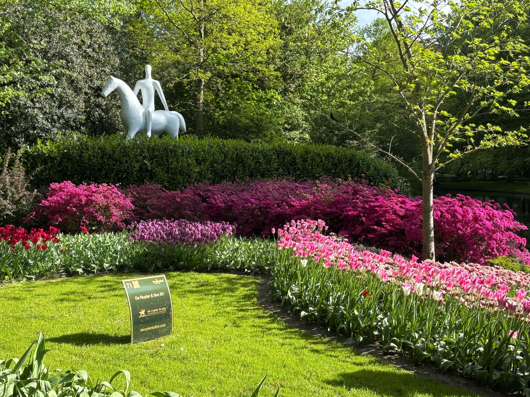 Tulips2